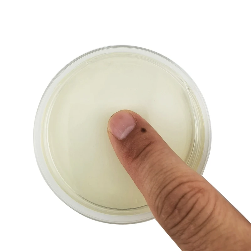 Potato Dextrose Agar Petri Dish Bacterial Petri Dish For Mushrooms, Home Test Kit Or Science Fair Project Durable , 10PCS