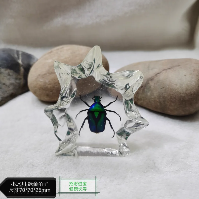 Real Insect Specimens, Resin Specimens, Small Ornaments, Home Decoration,Gift