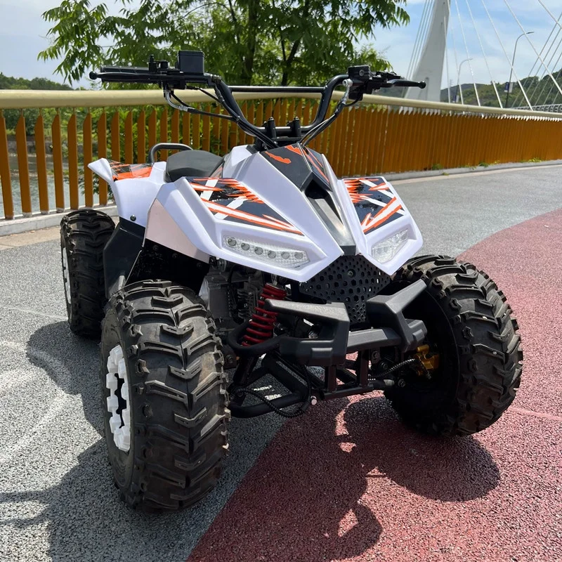 

125cc Automatic Chain Drive 4-Stroke 2WD ATV Quad Bike for Kids with CE Certification