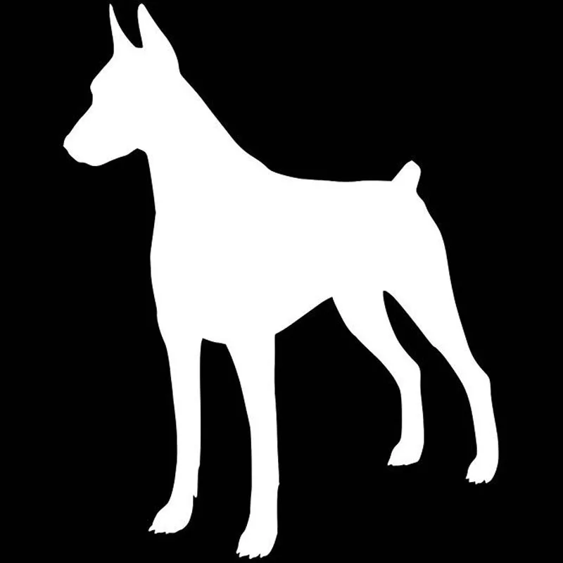 Doberman Pinscher Dog Window Decoration Vinyl Decal Car Bumper Stickers Black/Silver 11.9*15.2CM