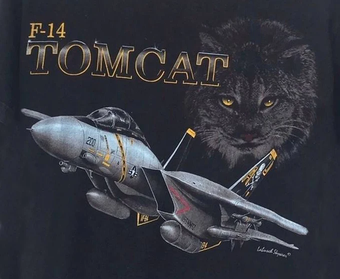 Naval F-14 Tomcat Fighter Aircraft T-Shirt 100% Cotton O-Neck Summer Short Sleeve Casual Mens T-shirt Size S-3XL