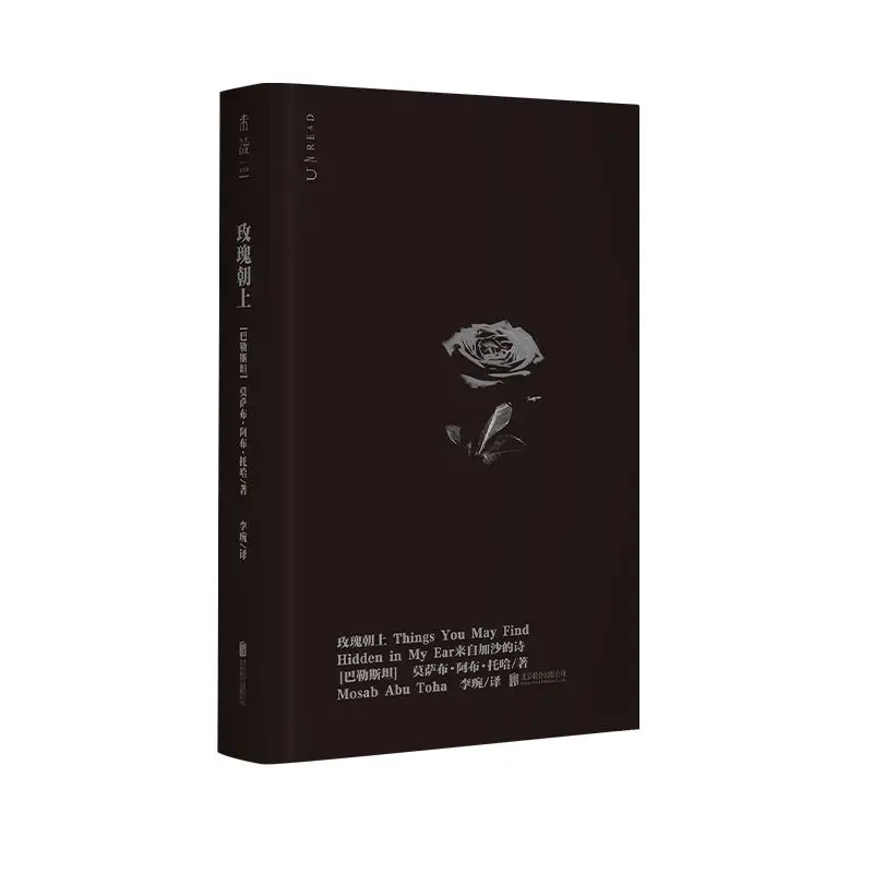 Things You May Find Hidden in My Ear Reading Book Chinese Version 2025 Pulitzer Prize Winners Work Poetry Pictures Book