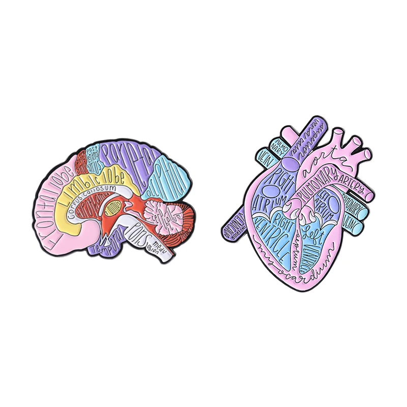 

Medical Organs Brain Heart Enamel Pins Custom Human Organs Brooches Lapel Badge Backpack Accessories Jewelry Gifts for Doctor