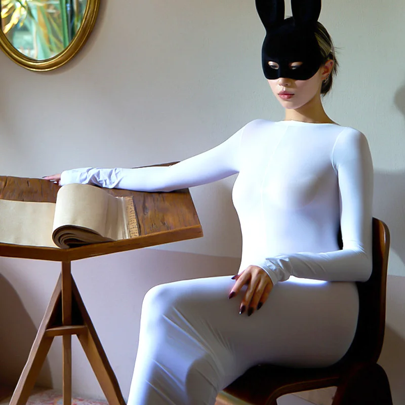 Sexy Erotic Lingerie For Women Tights Pencil Dress Sheer See Through Elastic Long Sleeve Nightdress Bodycon Full Body Tube Dress