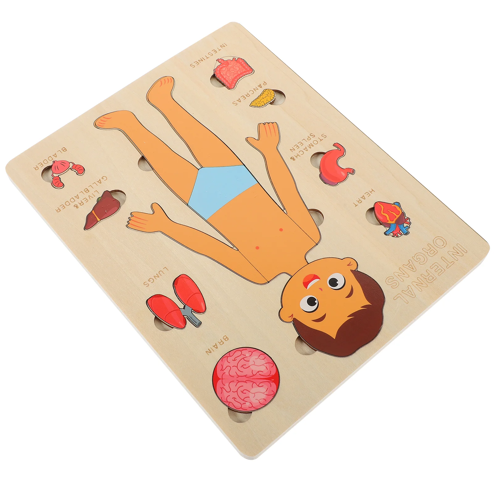 

Human Body Structure Puzzle Children Organs Learning Toy Early Education Teaching Tool Cognitive Wooden Jigsaw