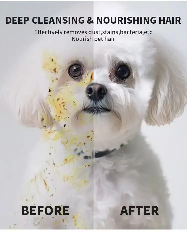 6 Pcs Pet Dry Cleaning Wet Wipes Wash Free Cleaning Thick Gloves Cat and Dog Pet Cleaning Products Remove Odor view 2
