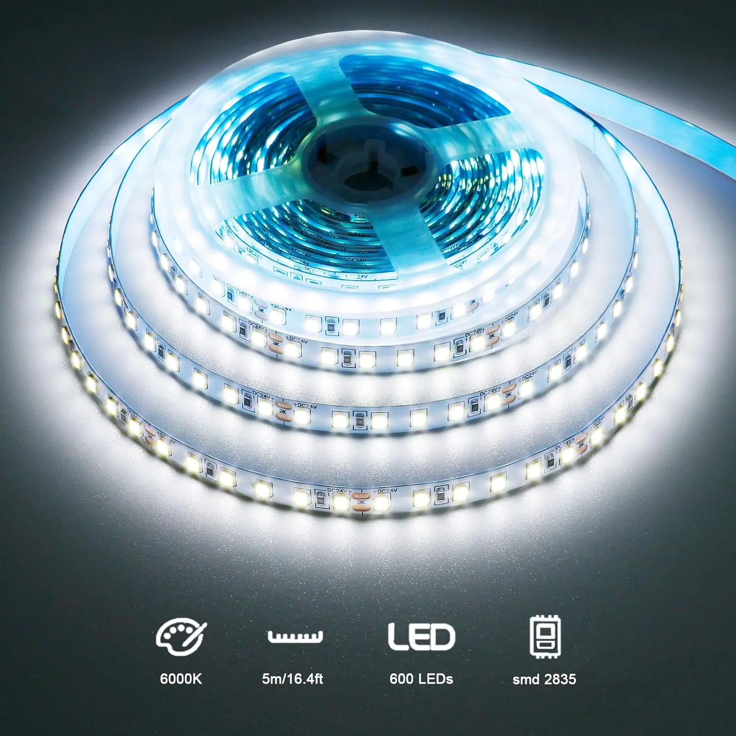 5M 10M/rolka LED Strip DC 12V 24V SMD 2835 120 diod/M biały/ciepły biały do domu lampa dekoracyjna elastyczny taśma wstążkowa światła linowe