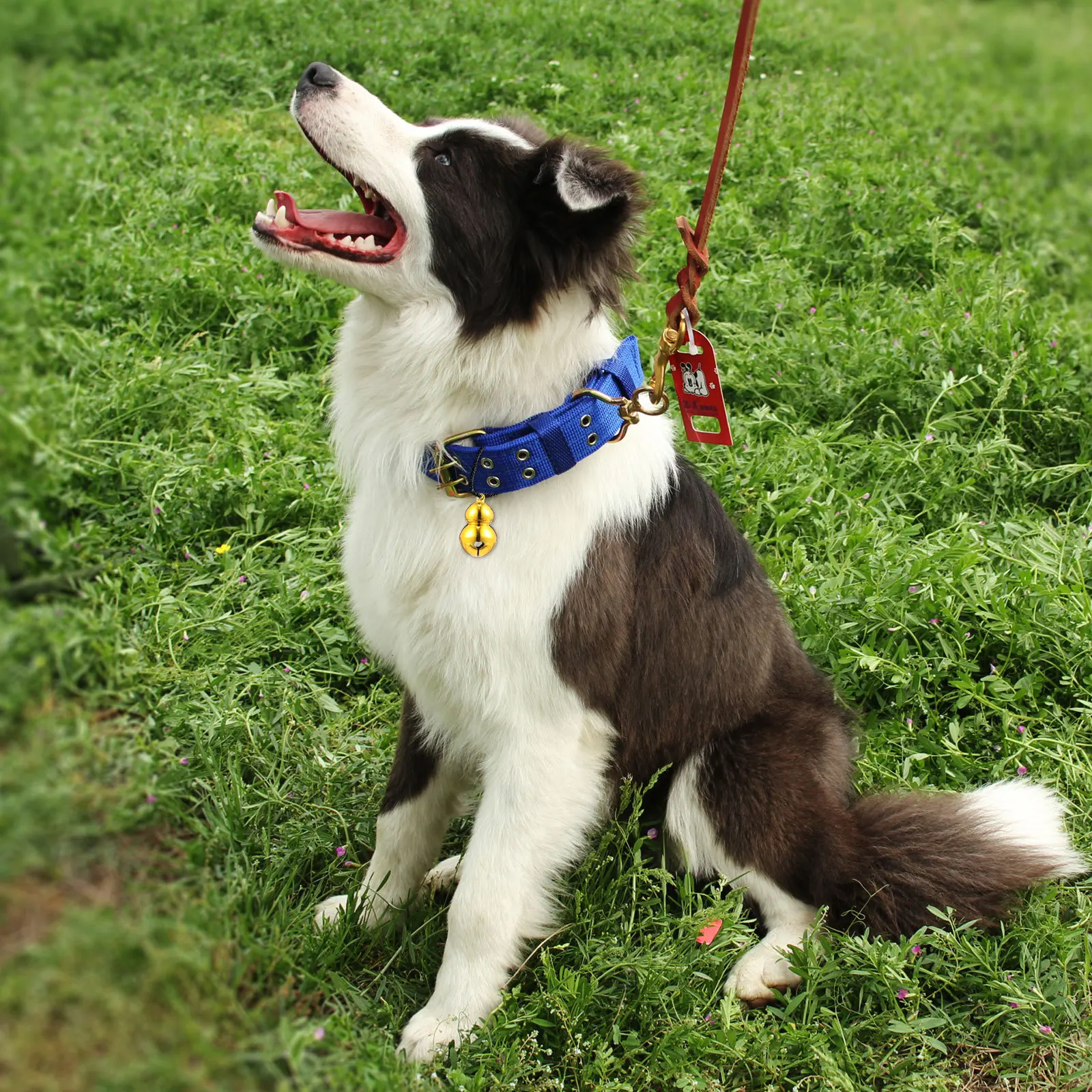 5 قطعة أجراس الحيوانات الأليفة على شكل قرع صغيرة خفيفة الوزن قلادة معلقة ثقب ل طوق الكلب القط شجرة عيد الميلاد الديكور صوت عال واضح #1