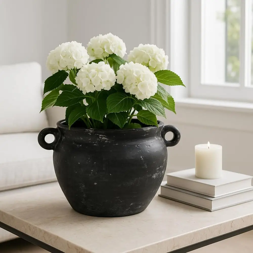 

8 Large Black Ceramic Planter with Scalloped Handles for Indoor or Outdoor Use – Ideal for Room, Garden, or Patio Decor and Entr