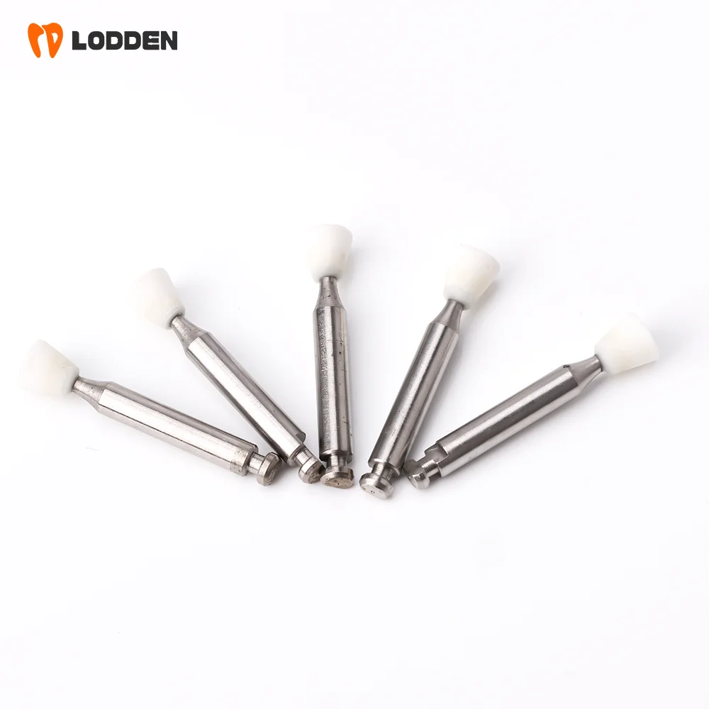 LODDEN 5pcs Low-speed White Stone Dental Polishing Burs Cone/Flame/Round Shape Abrasion Drills RA for Polishin Composite Tools