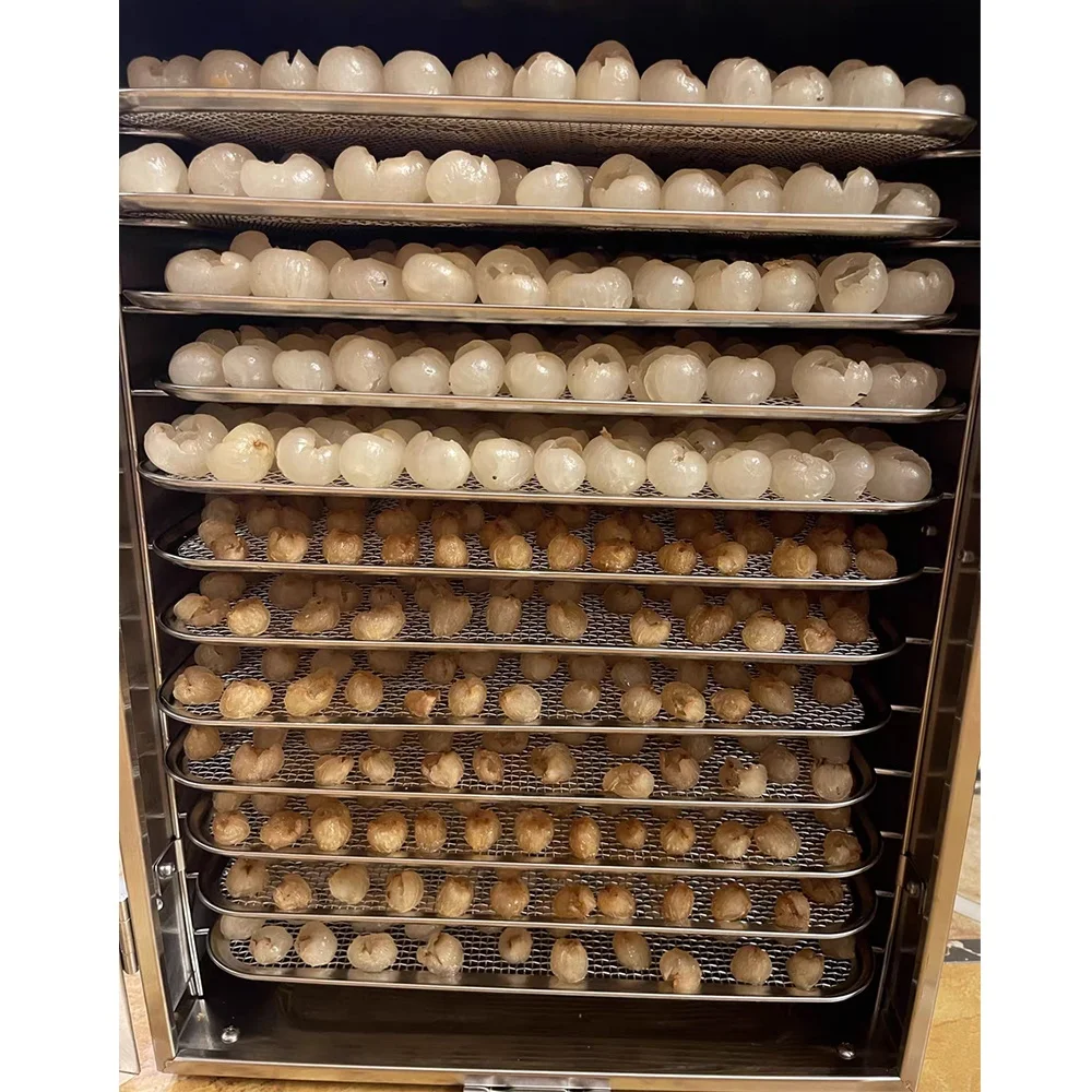 

Commercial Stainless Steel Food Dehydrator Energy Saving Solar Dryer for Herb, Meat, Beef, Fruit Drying