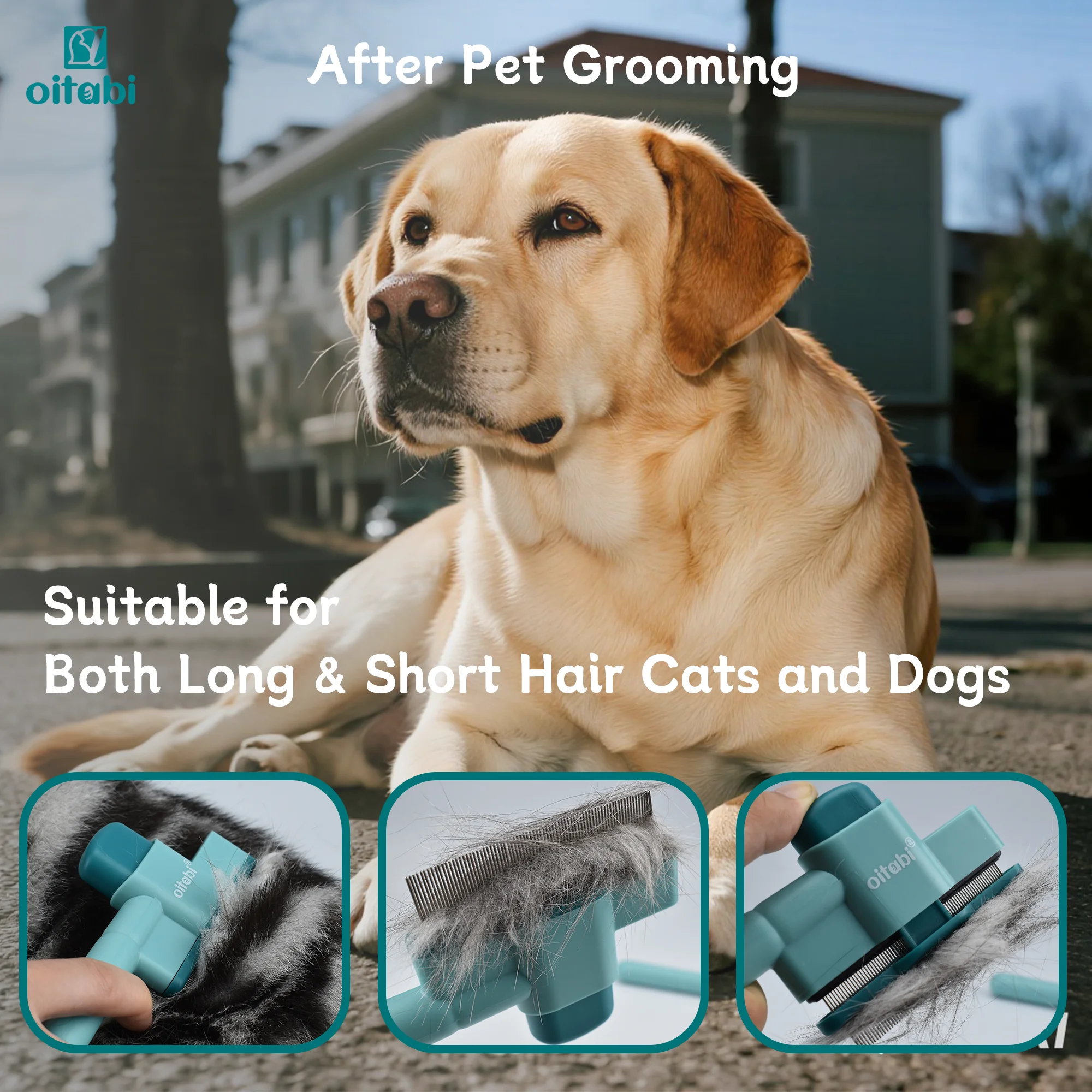 Oitabi 1/2 قطعة مشط برغوث للكلاب والقطط مع زر تحرير مشط للكلاب ذو الأسنان الدقيقة لإزالة شعر الحيوانات الأليفة، تنظيف إزالة البراغيث على سبيل المثال #5