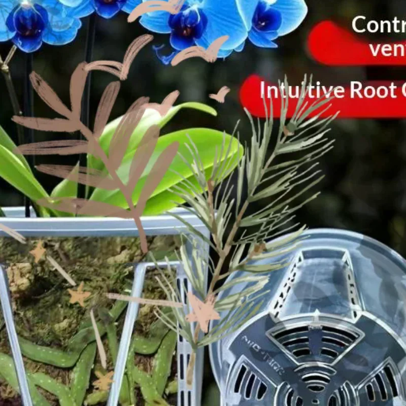 Plastic Root Control Transparent Flower Pot Breathable Beautiful: Phalaenopsis Orchid Pots Stomata Planting