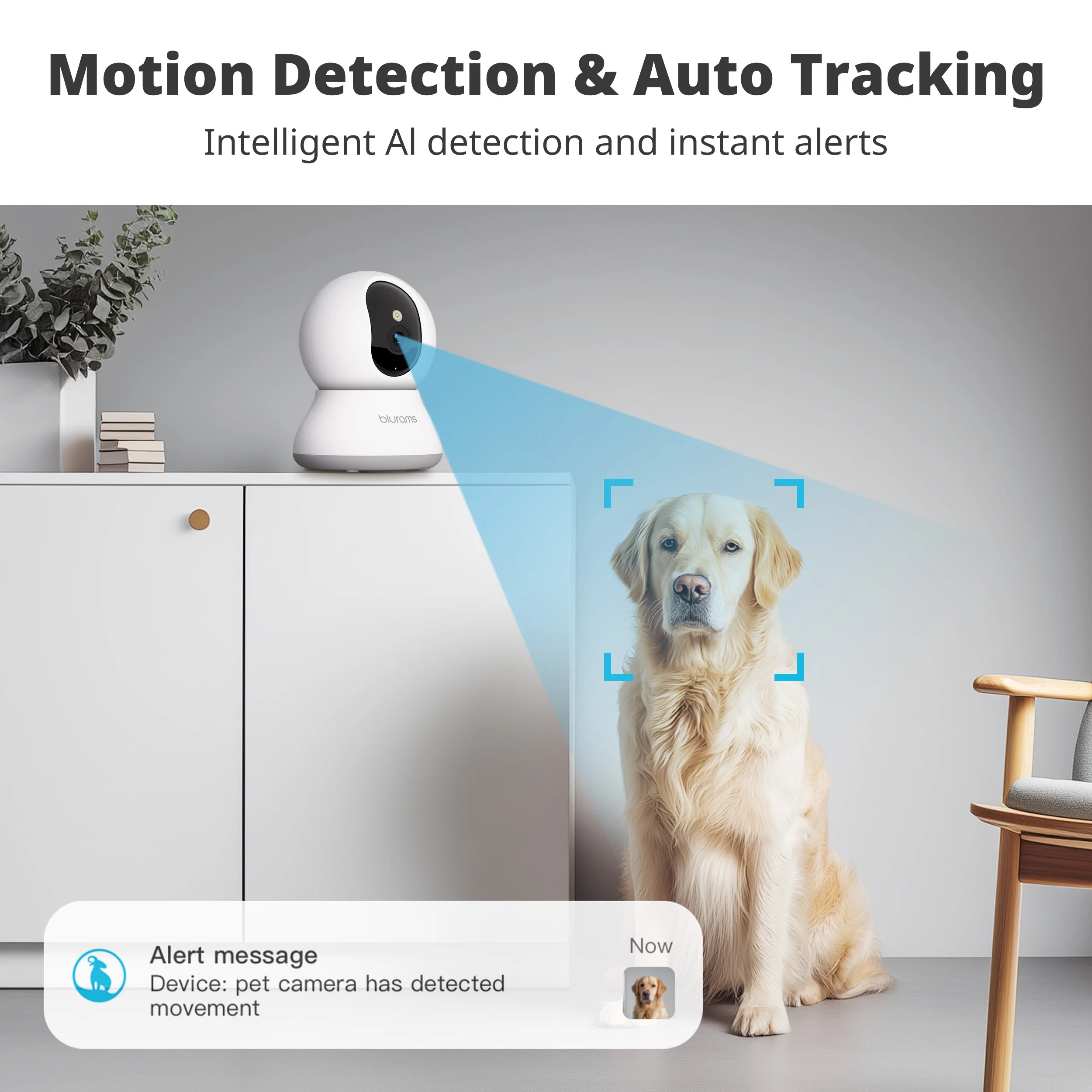 2 قطعة كاميرا Blurams 2K مع تطبيق الهاتف، كاميرا أمان داخلية للأطفال 5G/2.4 جيجا هرتز واي فاي، 360 درجة ° عموم وإمالة، صوت ثنائي الاتجاه، رؤية ليلية #4