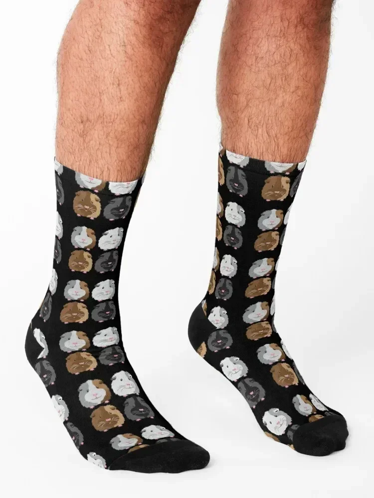 Chaussettes thermiques en coton pour hommes, quatre cochons (cochons d'Inde), chaussettes de rugby de haute qualité, cadeaux d'hiver pour filles