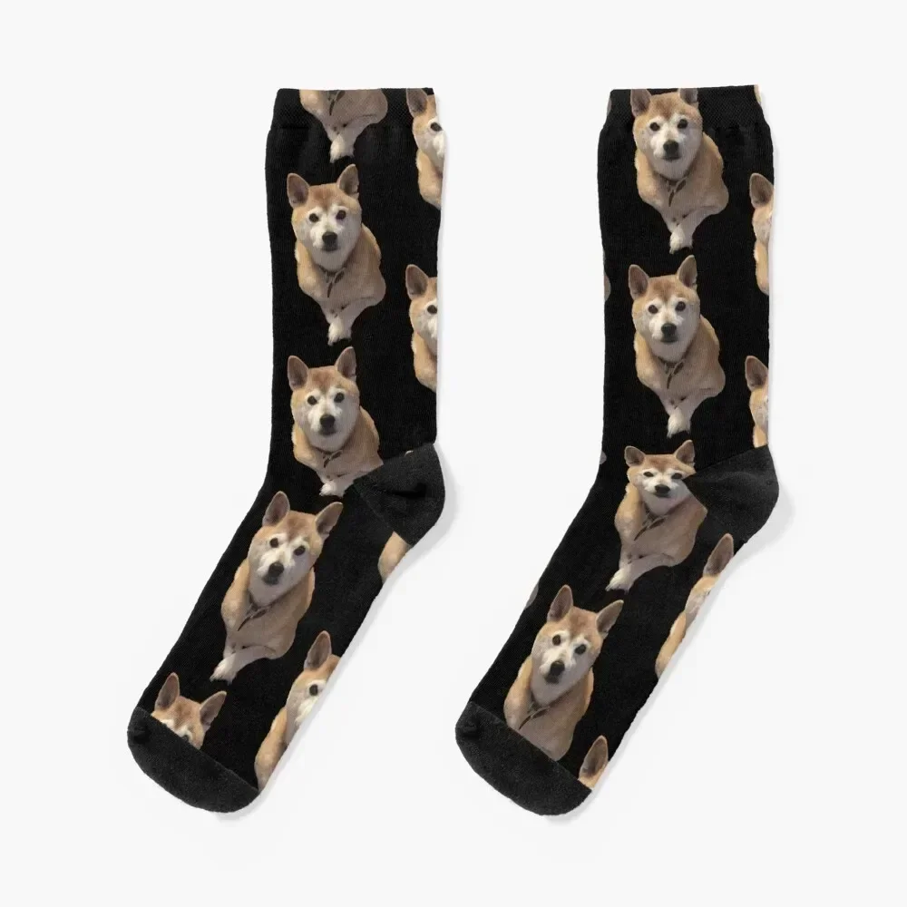 

Shiba Inu Socks Non-slip winter thermal custom Rugby Socks For Men Women's