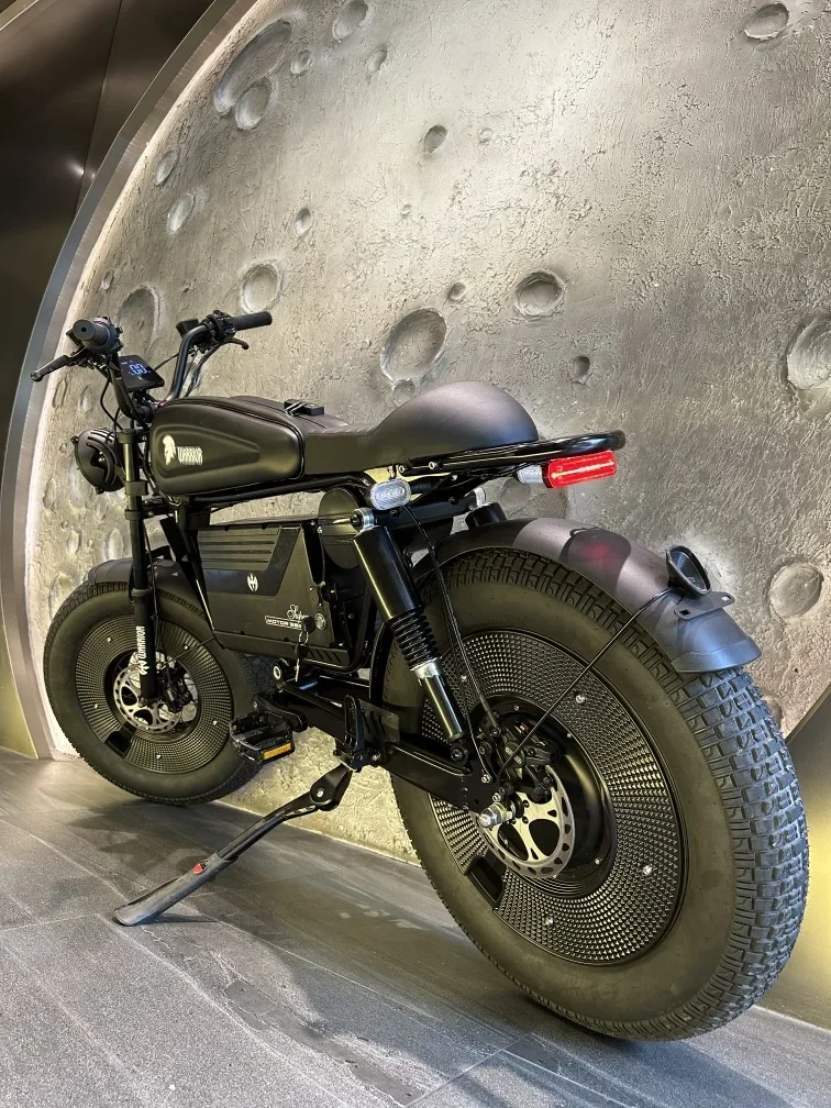 Zpw-大人用の黒い戦士電動自転車,20インチ電動自転車,ワイド