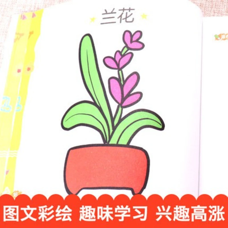 أساسيات متقدمة للرسم البسيط للأطفال من سن 2 إلى 5 سنوات، كتاب تلوين جرافيتي للتعليم في مرحلة الطفولة المبكرة