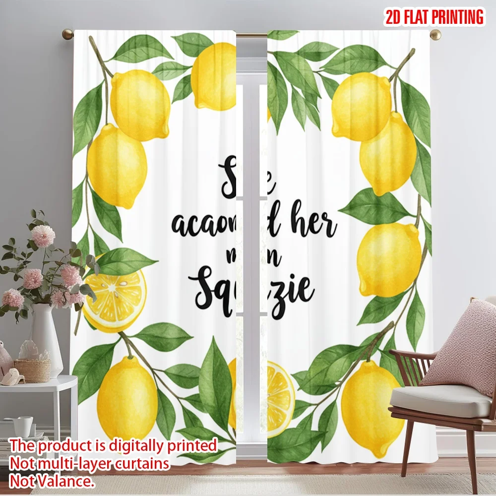 

2pcs 2D flat printing Party Window Curtains Lemon Squeezy She Acclaimed Her Polyester Without Electricity Family Party for