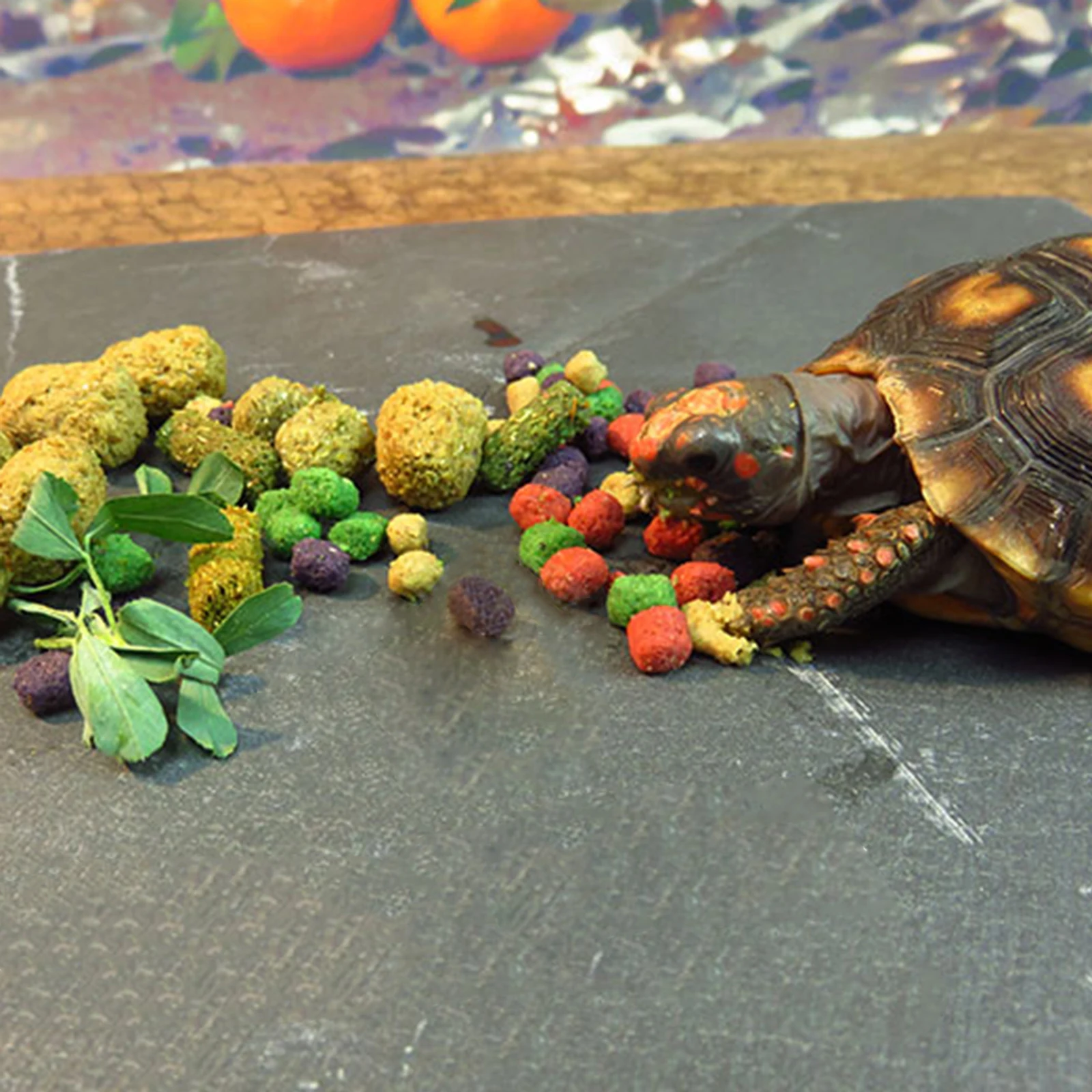 

Tortoise Feeding Plate Heavy Duty Stone Food Basin for Reptiles Turtles Geckos Resting and Feeding Decoration