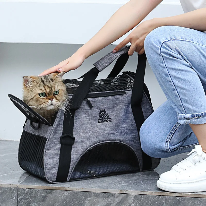 Pet Training Fanny Pack Walking Dog Training Tool Training Artefakt Snack Bag Belohnung Hundefutter Handgepäcktasche – Detail 7