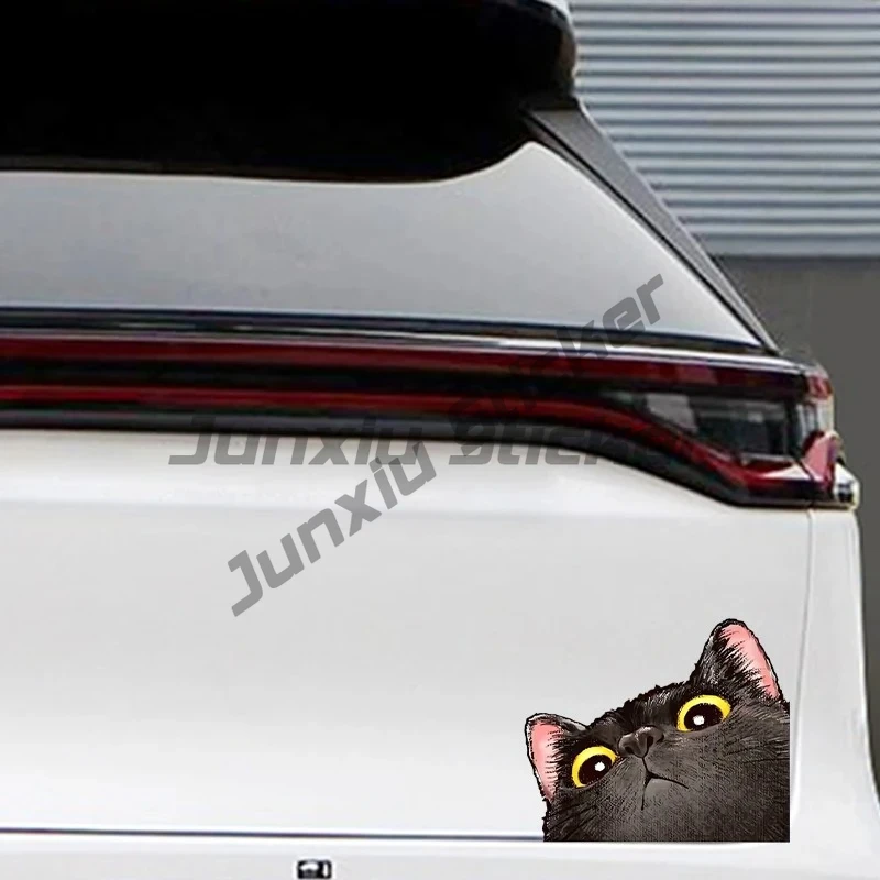 

Probe Cat Creative Expression Car Stickers Electric Motorcycle Body Triangle Window Luggage Laptop Stickers Fun Car Stickers