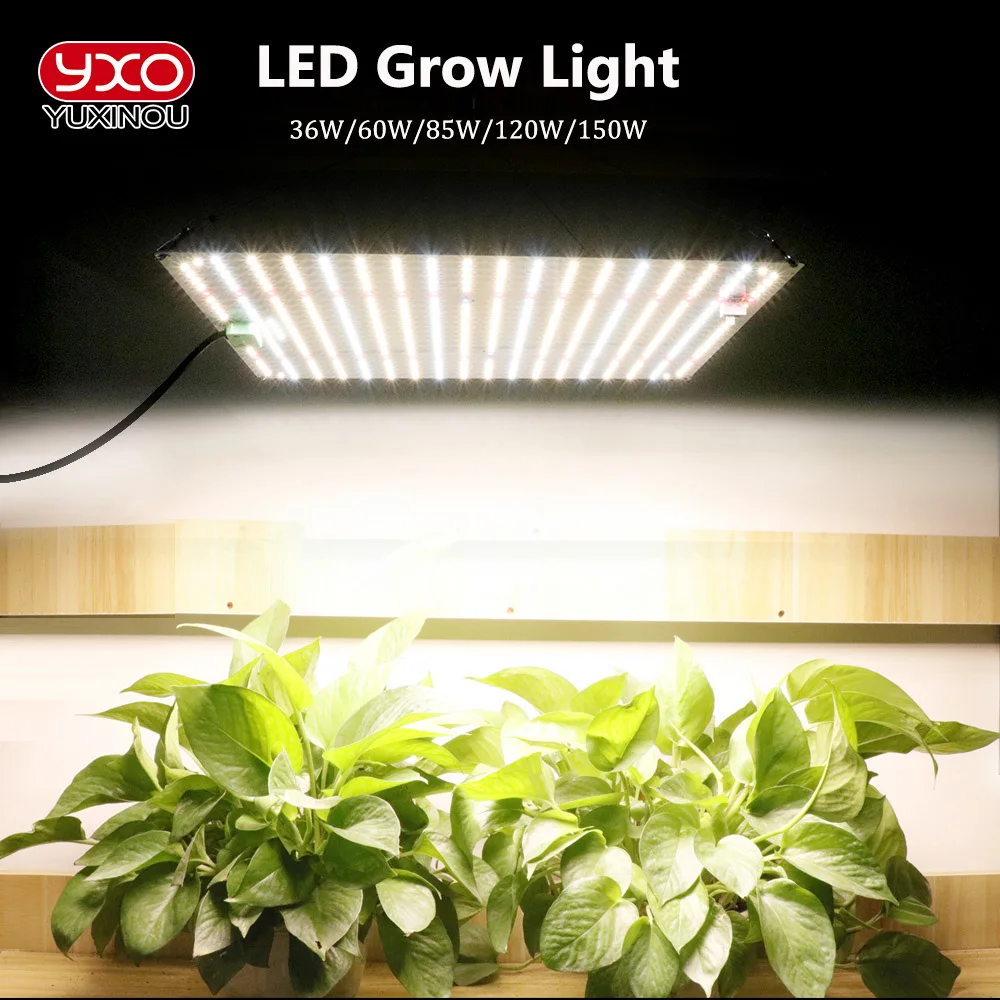 1000W  LM282B Full Spectrum Quantum LED Grow Light  Phytolamp Growth Light For Indoor Plants Flowers Greenhouse Seeds