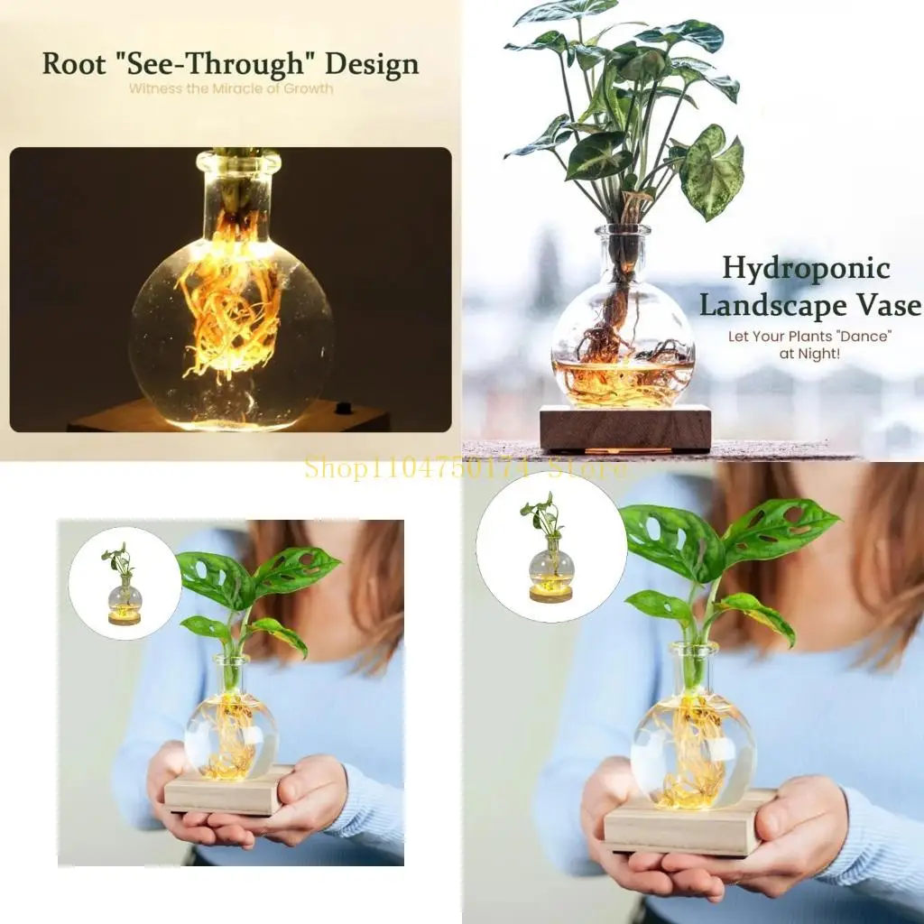 Plastic Hydroponic Growing Vases With LED Light For Simple Plant Propagation top sale