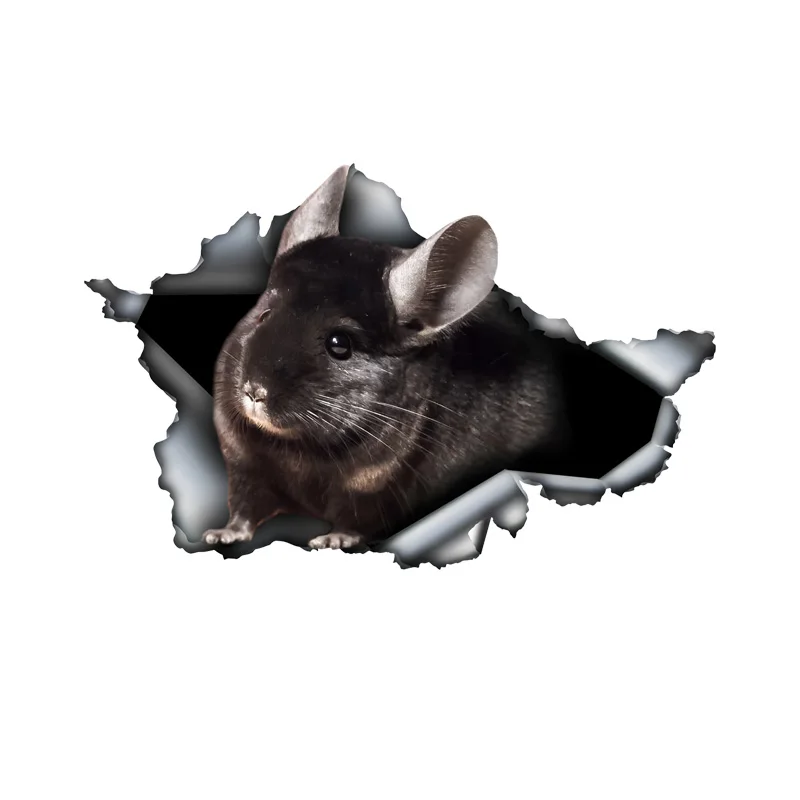 

DK385# 1pc Funny Car Sticker, Cute Black Chinchilla in the Hole Creative Design Sticker, Suitable for Cars, Trucks, Motorcycles,