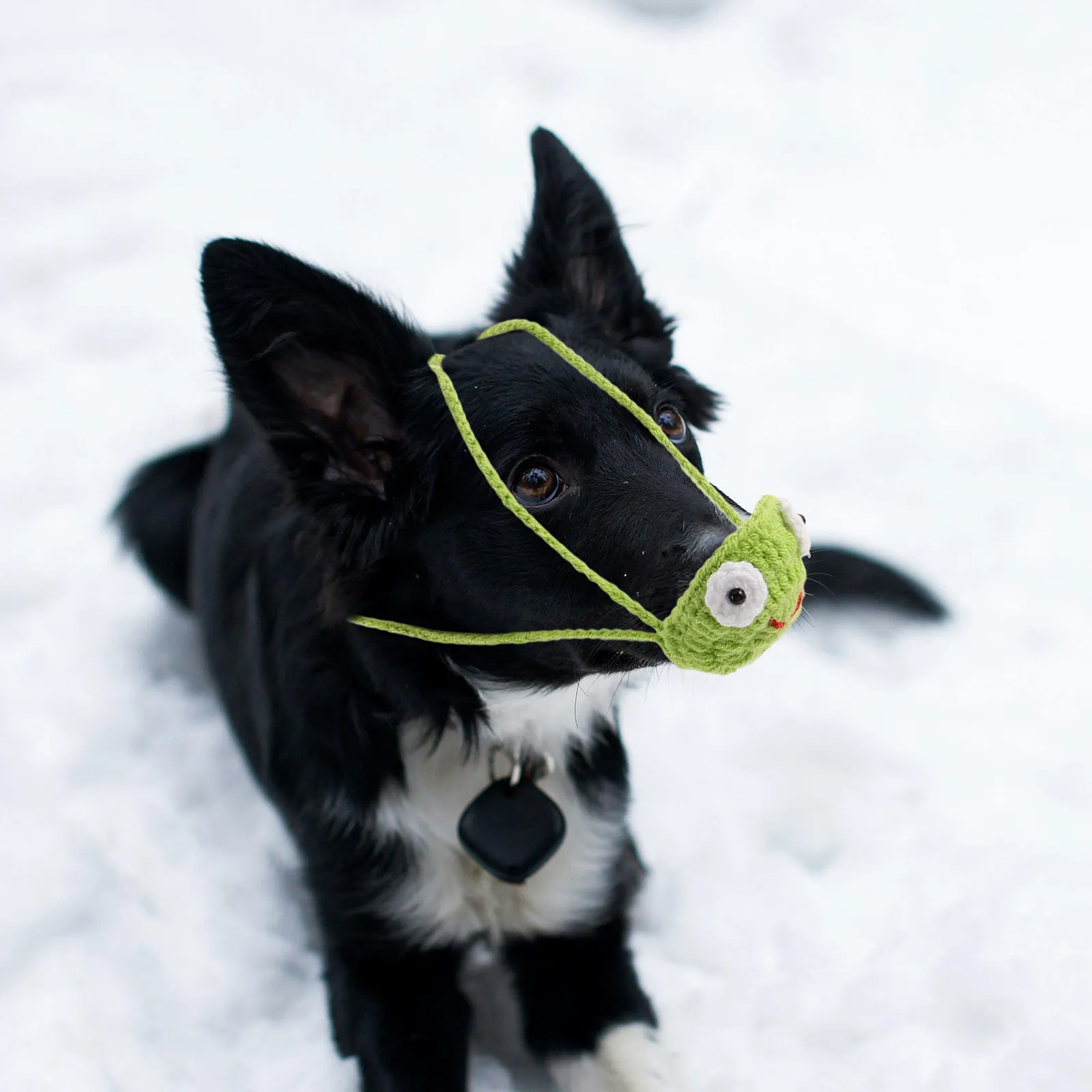 

Cold Weather Nose Cover Reusable Thermal Windproof Ear Loop Warmers for Skiing Running Cycling Winter Protection Gear