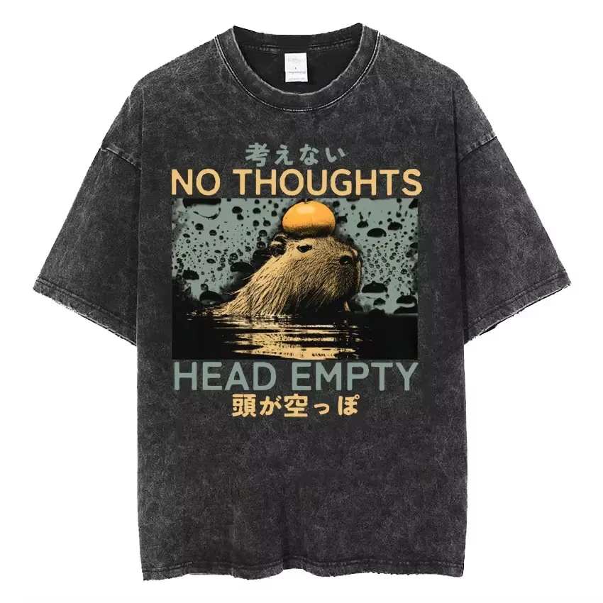 للجنسين موضة Harajuku غسلها تي شيرت الرجال المتضخم بلايز تي شيرت الشارع الشهير اليابانية خمر مضحك أنا وحده حمامة ميمي تي شيرت