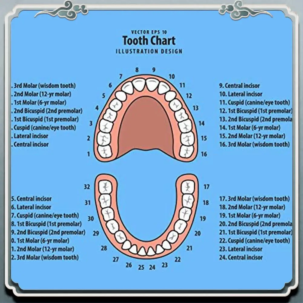 Durable Baby Teeth Keepsake Box For Kids Teeth Saver Box Children Teeth Storage Holder Baby Teeth Organizer Deciduous Teeth Box