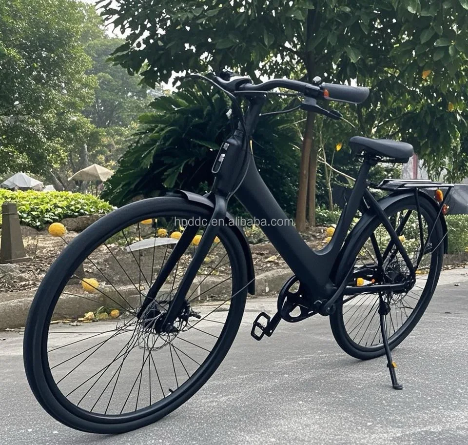 2024 Preheating Product Electric off Road Bike New Design for Leisure Riding E-bike 10Ah Lithium Battery Electric Bike for Women