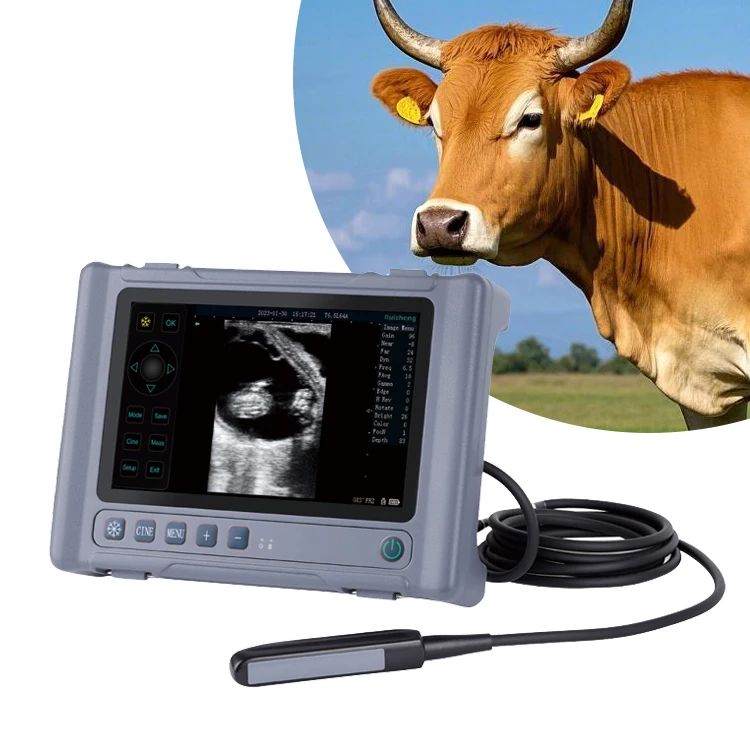 Portable Veterinary Ultrasound Machine Veterinary Ultrasound Scanner Dog Cat Cow Pig Diagnosis Detection