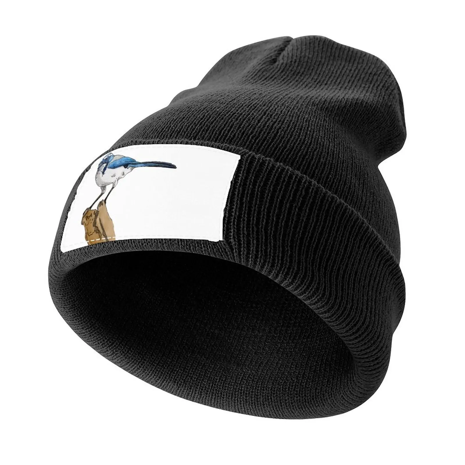

Scrub Jay Knitted Cap Big Size Hat sun hat fashionable derby hat Hats Woman Men's