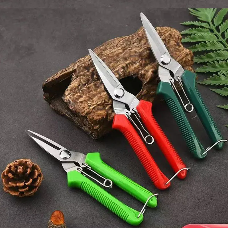 Straight Head Pruning Shears Non-slip HandleStainless Steel Outils Manuels Household Bonsai Garden Scissors Pruing Shear