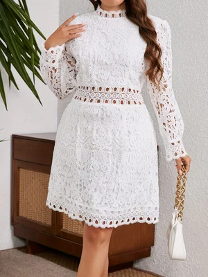 

2026 Spring New Collection French Elegant White Lace Dress Women's Stand Collar Hollow Out Waist A-Line Short Dress Date Party Chic Long Sleeve Dress