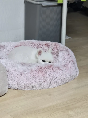 구매후기