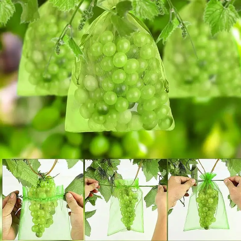 Grape Protection Bags 100pcs Fruit Protector Net Cover Drawstring Mesh Bag Netting Barrier Bags Green Netting Cover Bags For