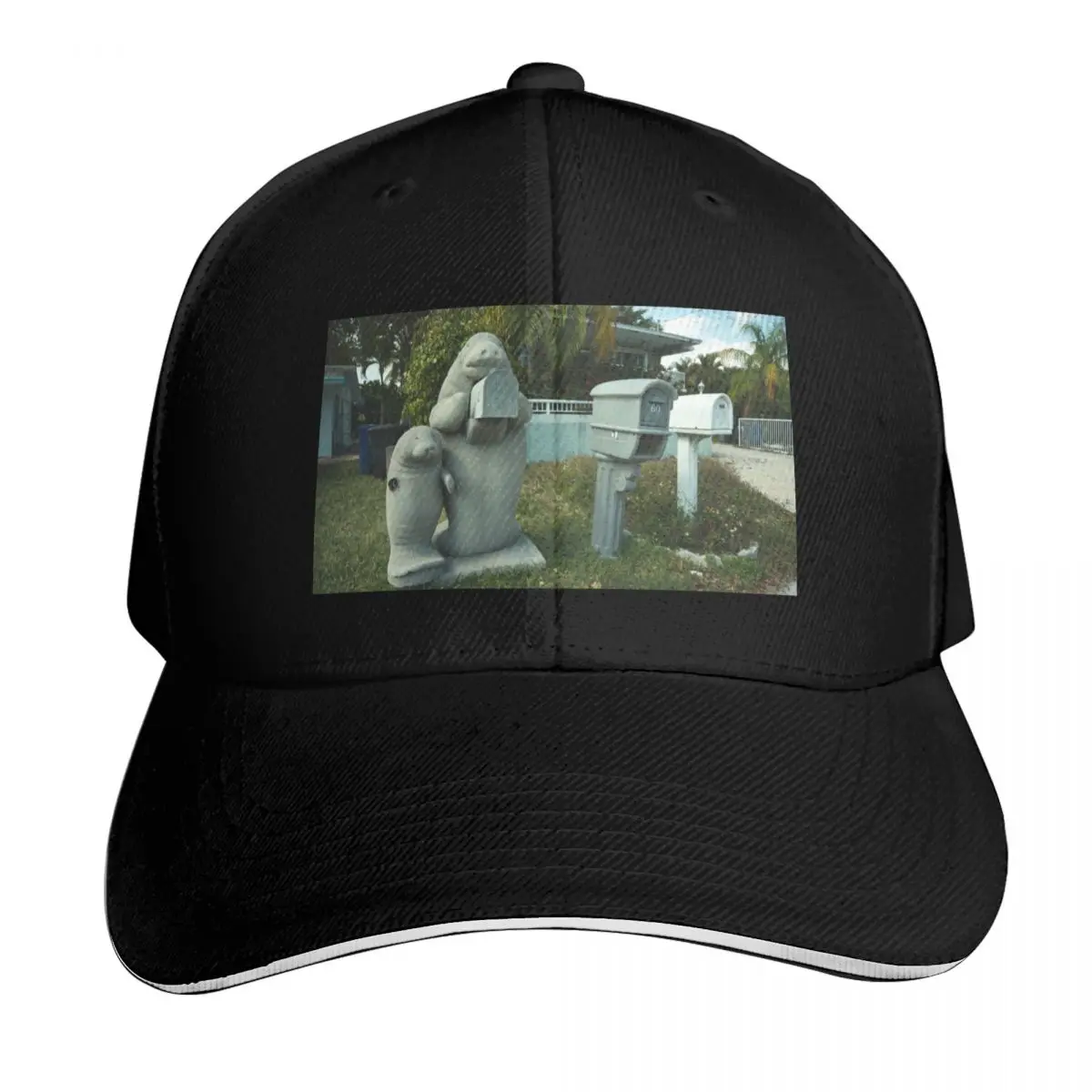 Manatee Mailbox Baseball Cap Unisex for Men Women Outdoor Golf Running Hiking Summer Beach Travel