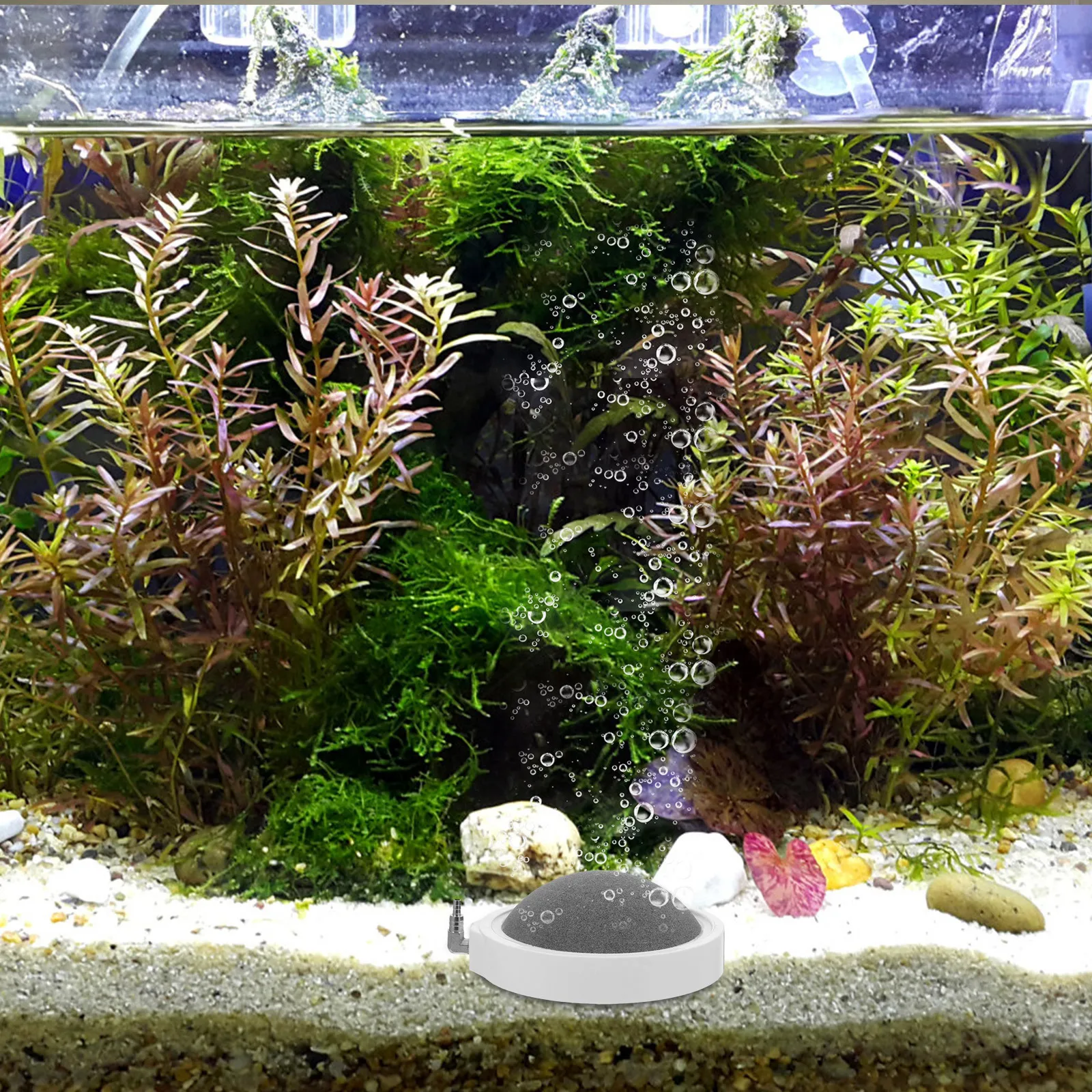 

2Pcs Durable Oxygen Bubble Stone Aquarium Bubbler Fish Tank Supplies Fine Smooth Surface Uniform Bubbles Easy Installation Long