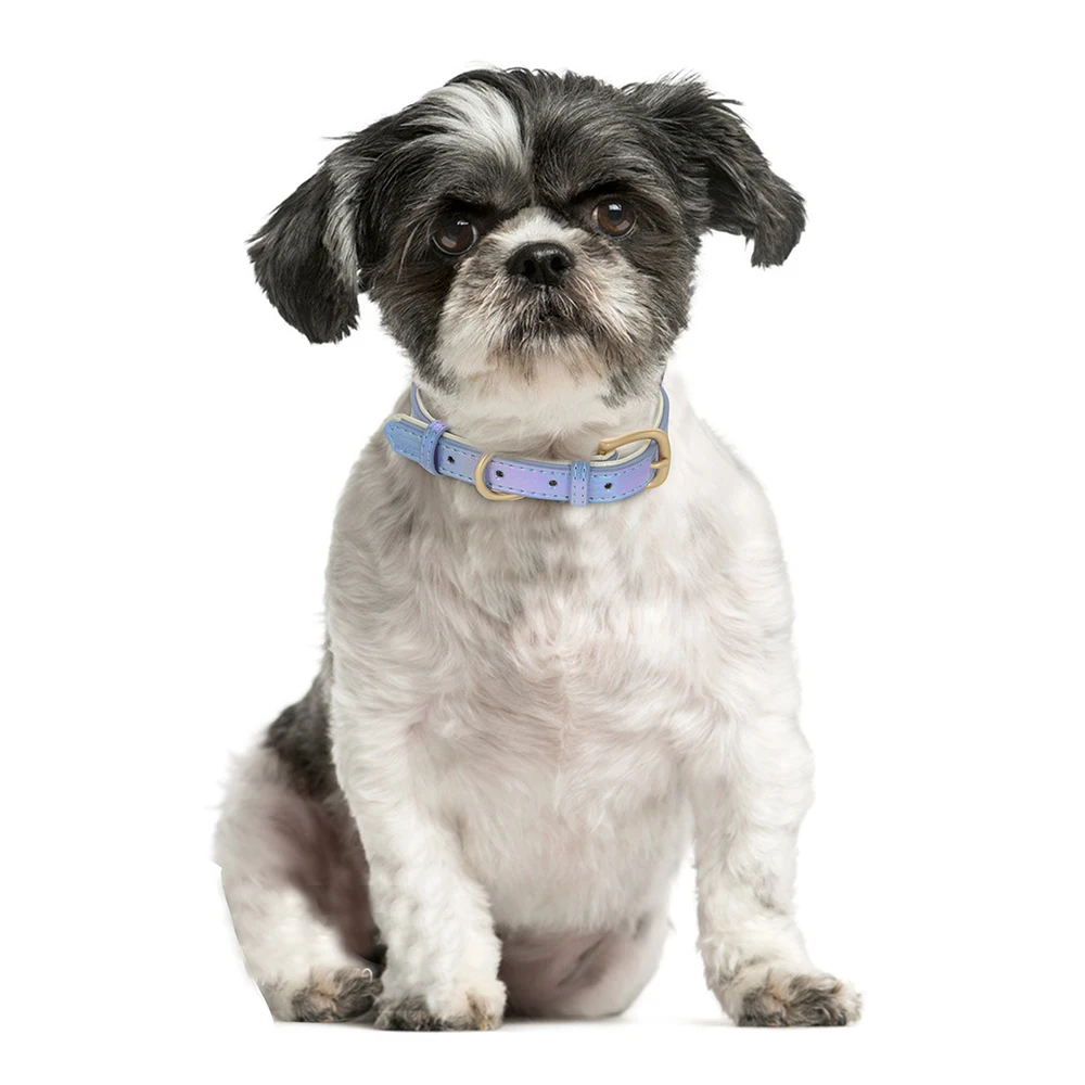 Macaron collare per cani personalizzato collari per gatti personalizzati regolabili collana per cuccioli in pelle Anti-perso accessori per strass