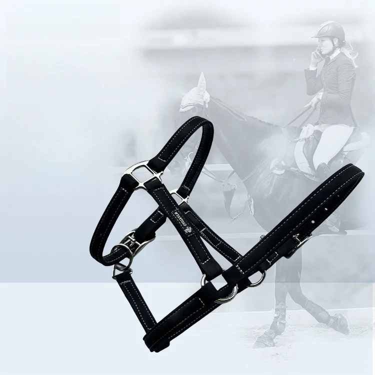 Stitched Leather Horse Halter, Steel Buckles, Adjustable Chin and Throat Snap Halter, Quick Release