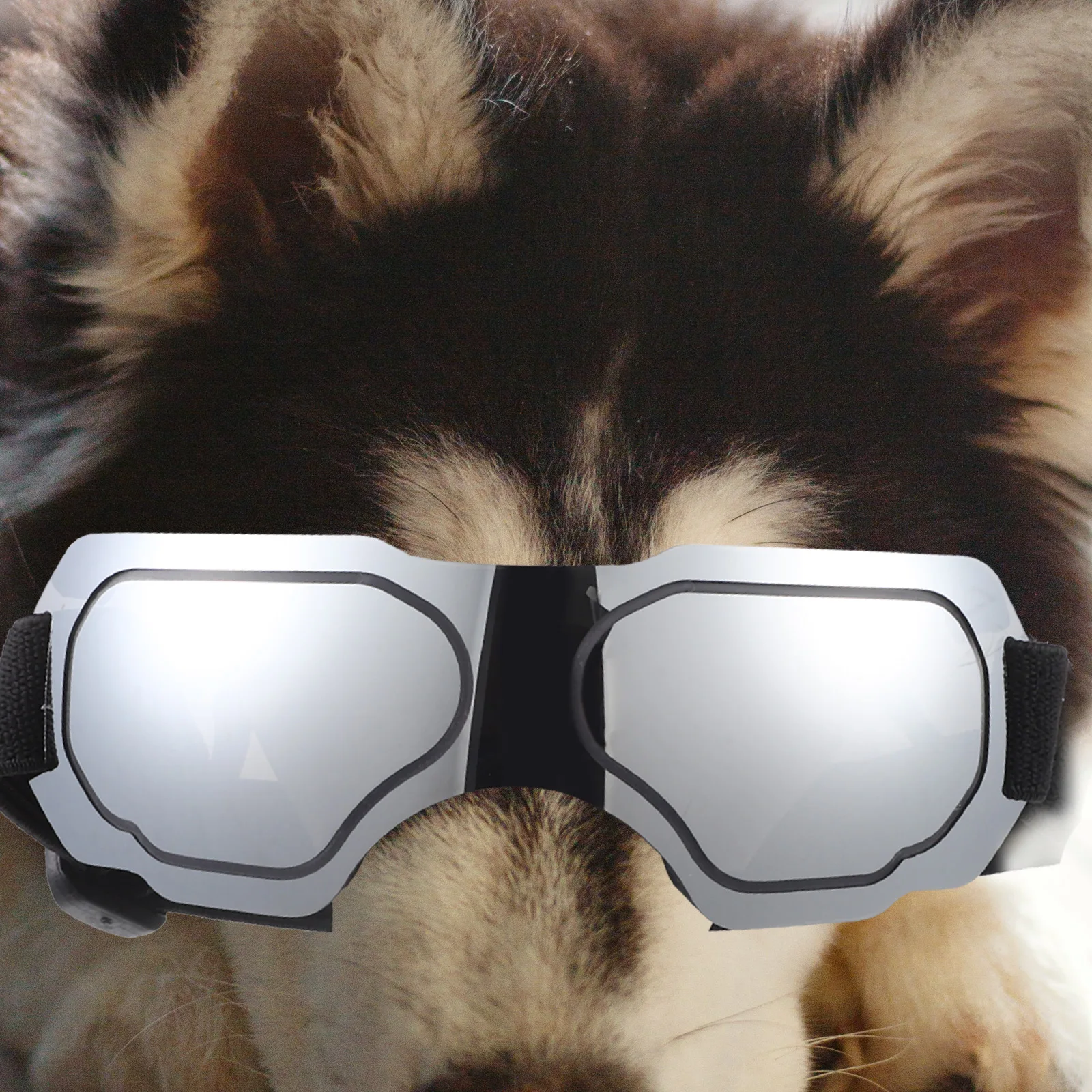 

Pet Sunglasses Silver M Size Windproof Puppy Goggle Durable PC Material Adjustable Strap Creative Stylish Photo Prop Outdoor