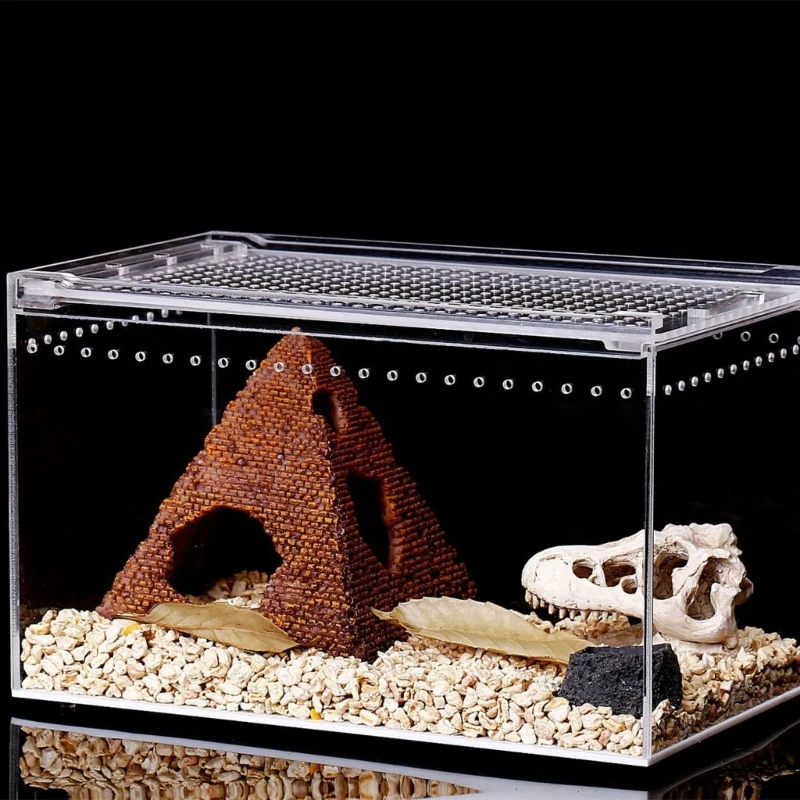 Box Feeding Small Pet Horned Lizards Snail Snake Clear Designed Box Geckos Silkworms Insect Snake House