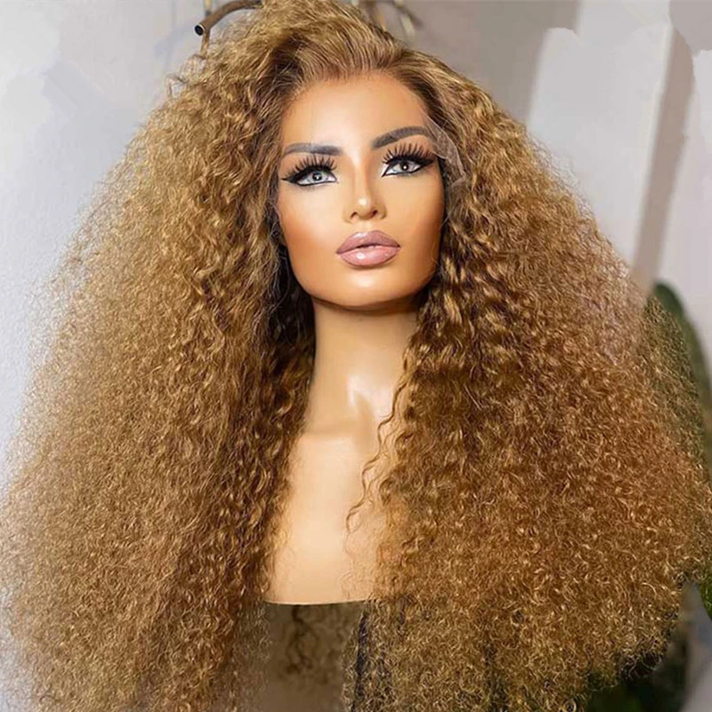 Perruque Lace Front Wig sans colle naturelle bouclée pour femmes, cheveux de bébé, brun, doux, densité 180%, 26 pouces, préplumée 03/