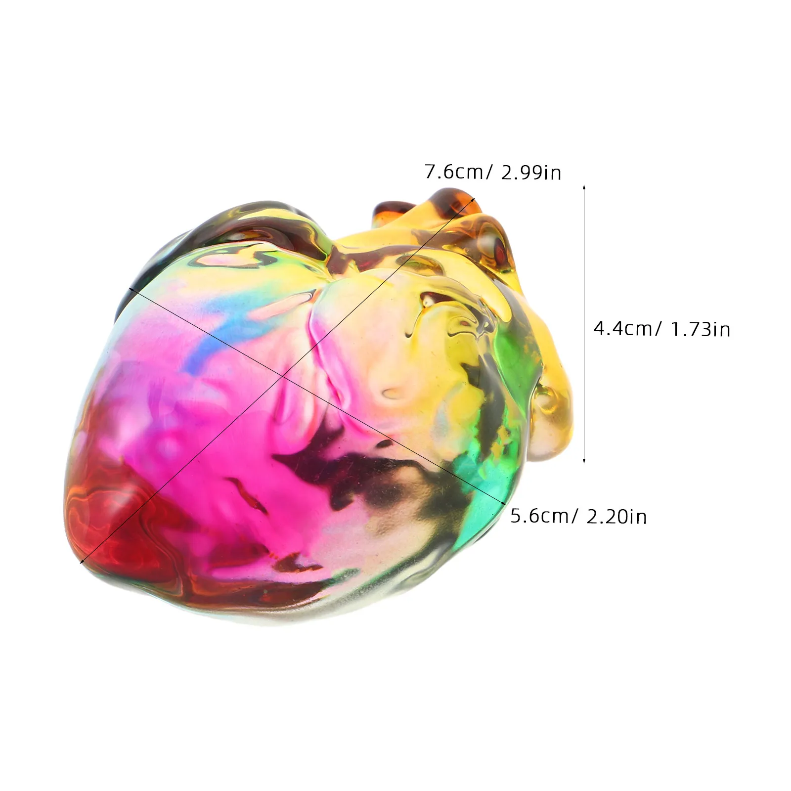 Crystal Multi Color Anatomical Heart 3D Human Sculpture Halloween Home Decor Day of The Dead Creepy Art Decoration