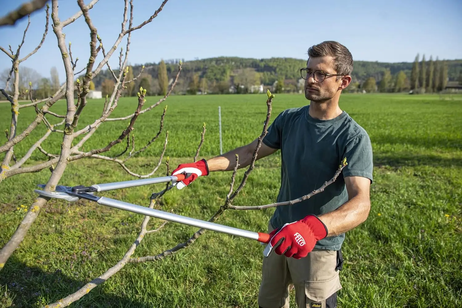 Poda cisalhamento, 231