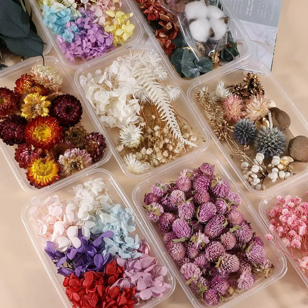 1 Box Preserved Flower DIY Crafting Mini Flower Soft Lemon Slice Rose Bud Head Lavender Granule For Candle Wax Art Dried Flower