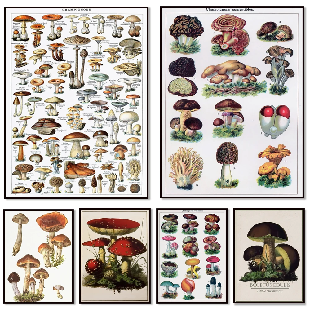 cartazes-de-cogumelo-vintage-cogumelos-azuis-posteres-de-cogumelo-imprimiveis-adolphe-milo-arte-de-cogumelo-arte-de-fungos-arte-de-cottagecore
